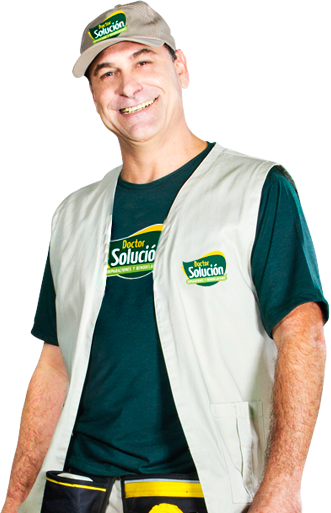 Profesional Calificado Doctor Solución